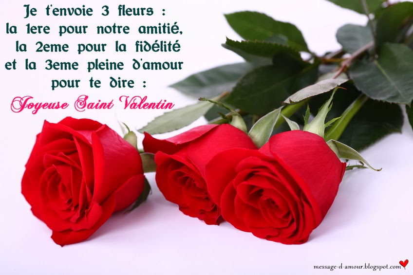 Te dire Joyeuse Saint Valentin
